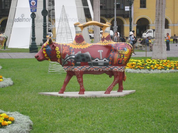cows on parade in Lima