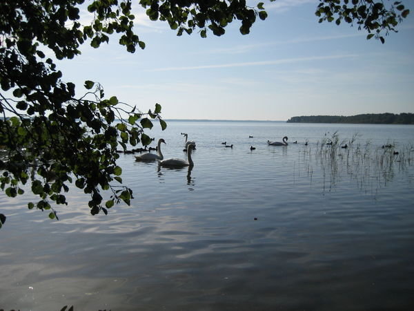 Lake Mouchic