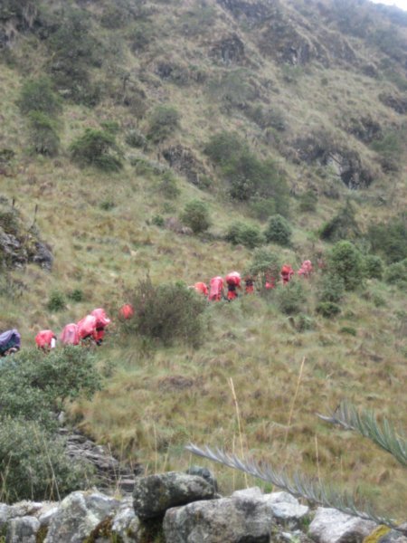 Cusco and Inca Trail 115