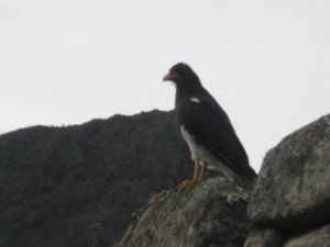 Cusco and Inca Trail 183