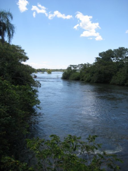 Puerto Iguazu 003