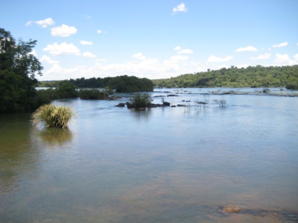 Puerto Iguazu 002