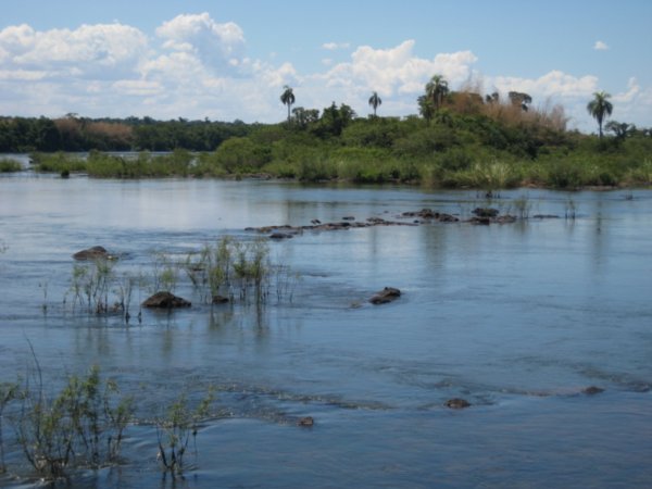 Puerto Iguazu 022