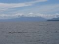 The View from Puerto Varas