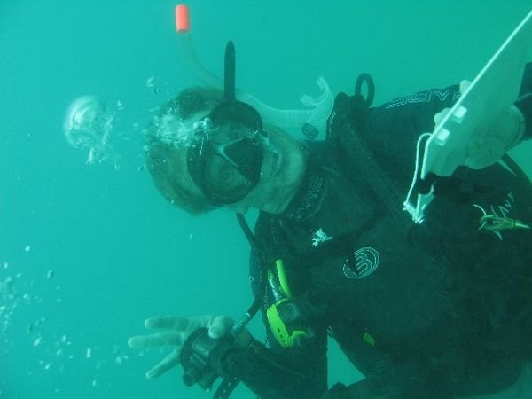 Diving - Fun Time!