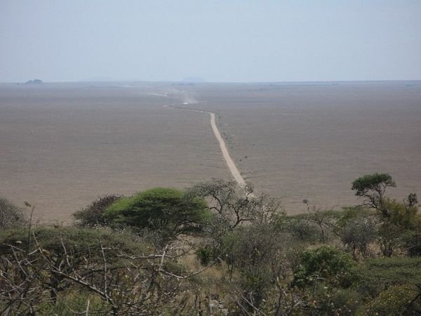 The Serenget