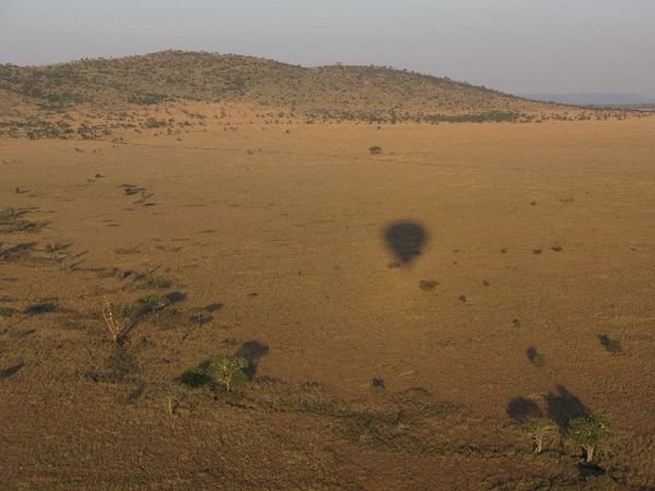 Balloon over the Serenget at Dawn