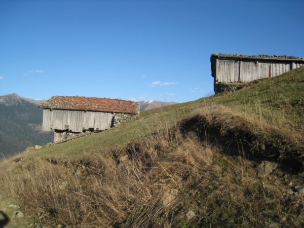 Plateau houses