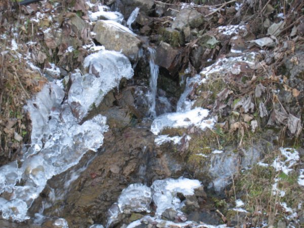 The spring I drank from