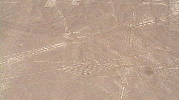 Nazca Lines- The Condor