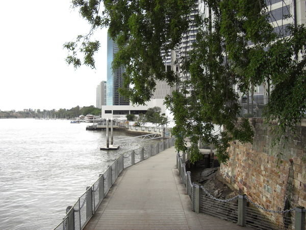 Brisbane riverbank