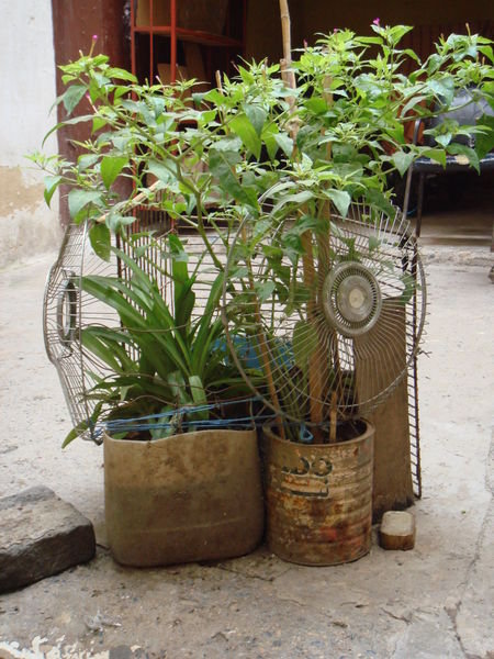 Herb garden Fes style 