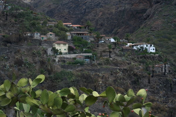 Houses in Masca