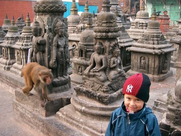 Monkey and stupas