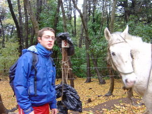 Neil & his horse