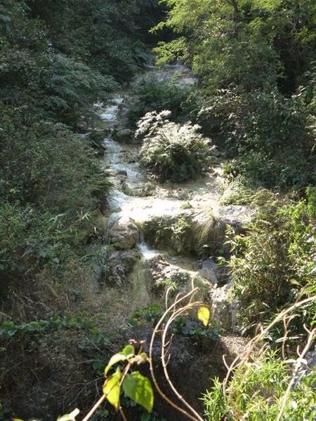 downstream of waterfall