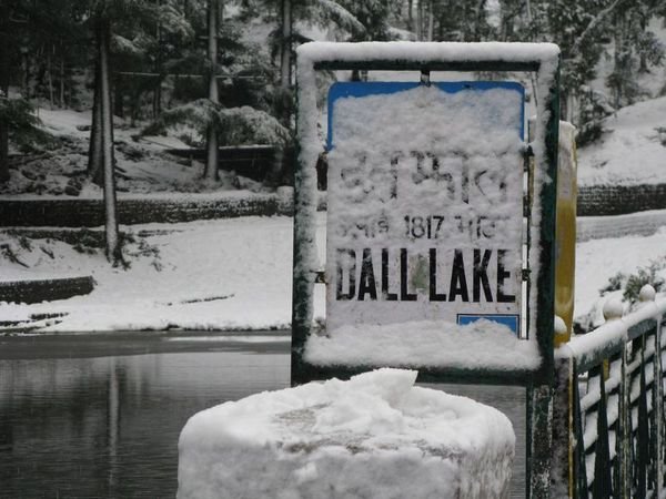 Dall Lake