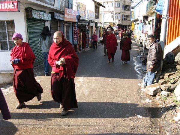 Buddhist Monks and Nuns 