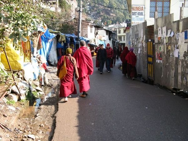 Buddhist Monks and Nuns
