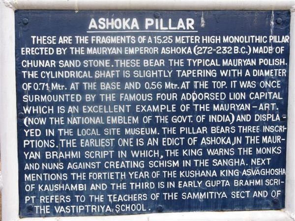 ashoka pillar