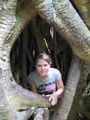 Kiama inside a tree!
