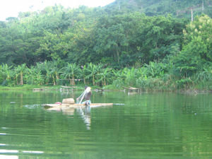 fisherman on lake bosumtwi