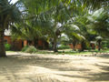 the huts at Green Turtle Lodge