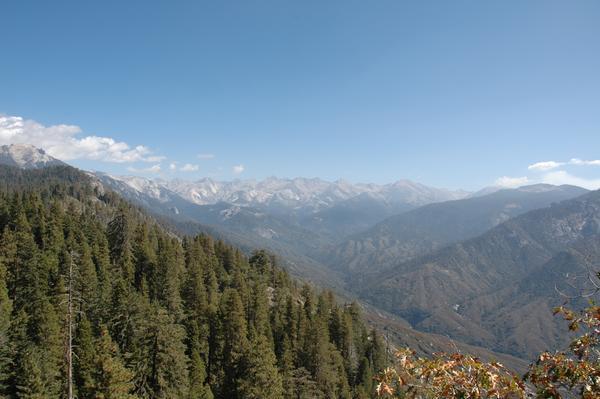 The view from Moro Rock