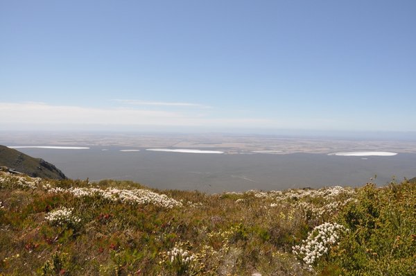 Dry Lakes from Bluff Knoll