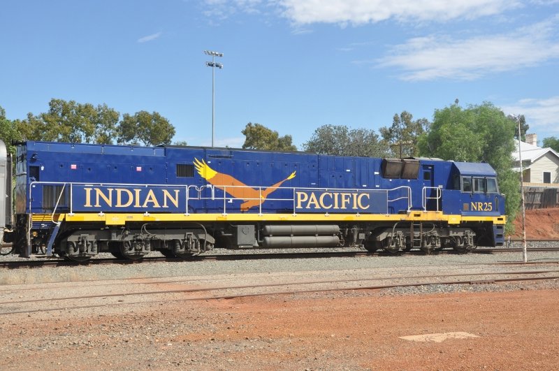 Indian Pacific locomotive