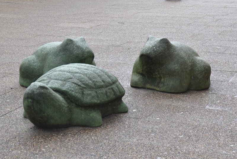 Frogs ganging up on a tortoise, Esbjerg