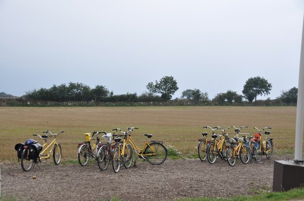 Hire bikes on the island of Ven