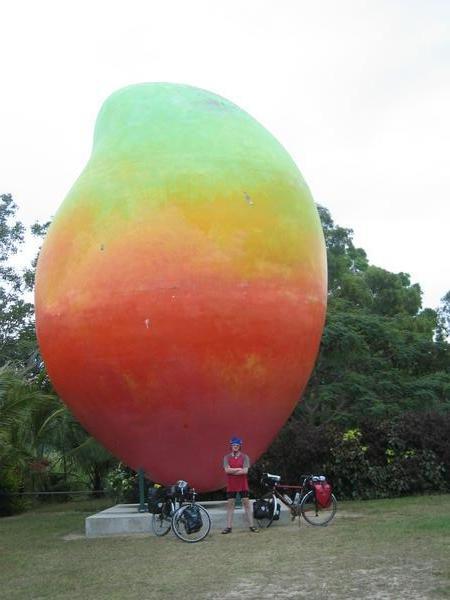 Bowen big mango