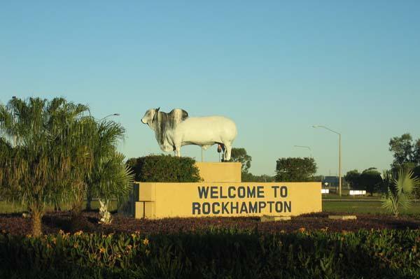 A load of bull, Rockhampton