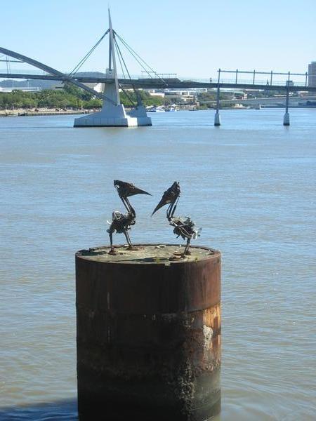 Pelican sculptures, Brisbane
