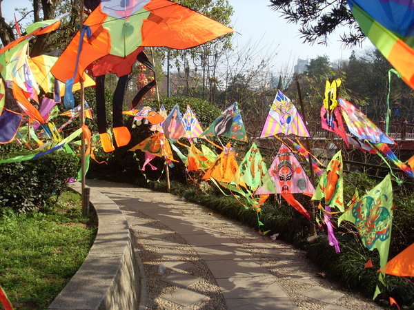 Loads of kites