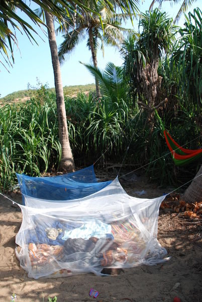 on a tous super bien dormi la tete dans les etoiles dans notre camp confortable sous les palmiers