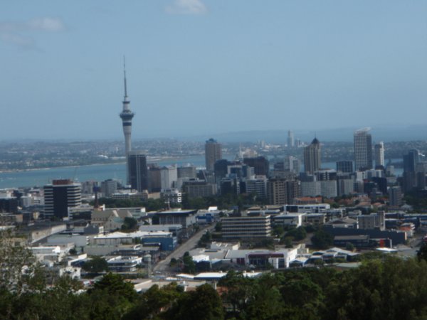 Skytower in view
