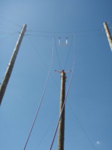 Trapeze - Level 5
