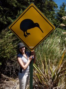Kiwi bird sign 