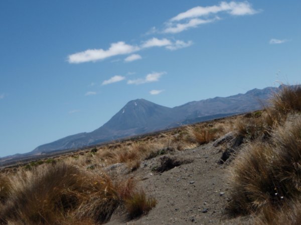 Mt. Ngauruhoe 