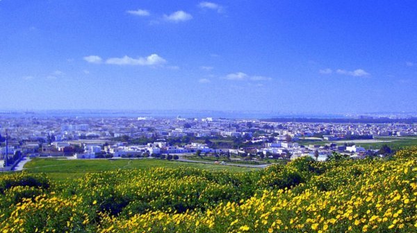 Amazing view of Carthage.