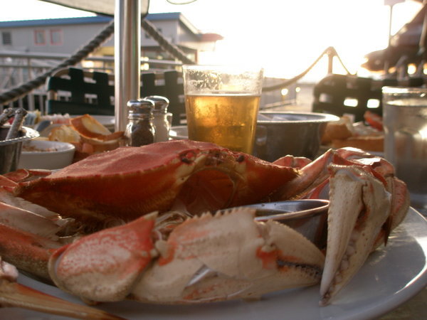 Dungeness crab