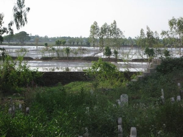 Islamisk gravplads med udsigt til rismarker og Cambodia
