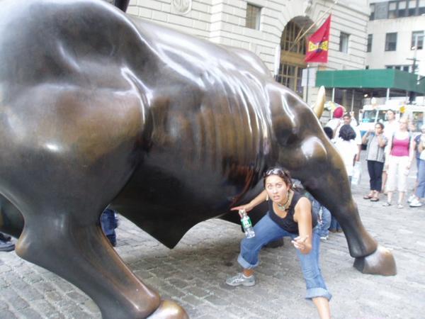 Wall Street Bovine
