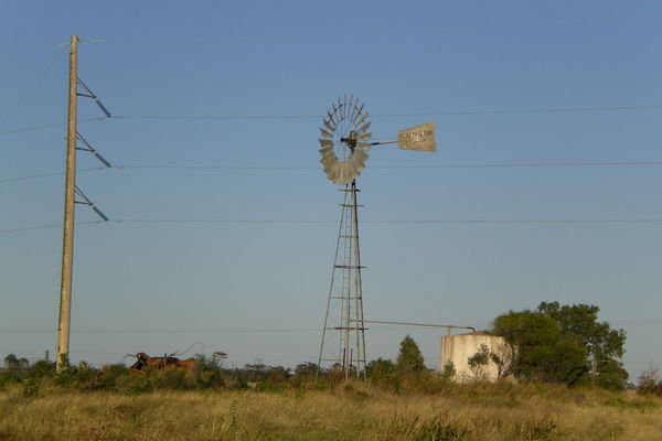 Windmills dot the outback skyline
