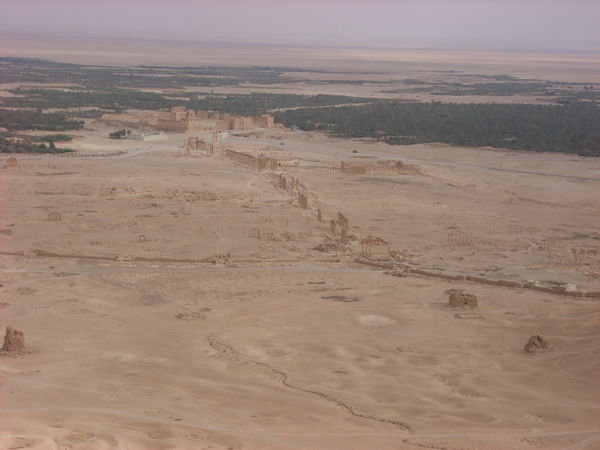 View from castle at Palmyra