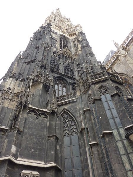 Stephansdom South Tower - we climbed that!!