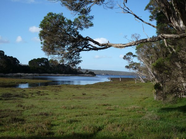 Landscape at Policeman's Point