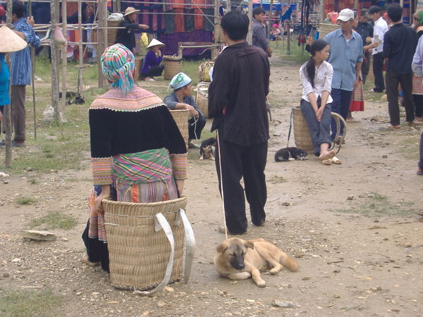 Bac Ha market (not a pet shop whatsoever)